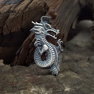 Chinese's Dragon
